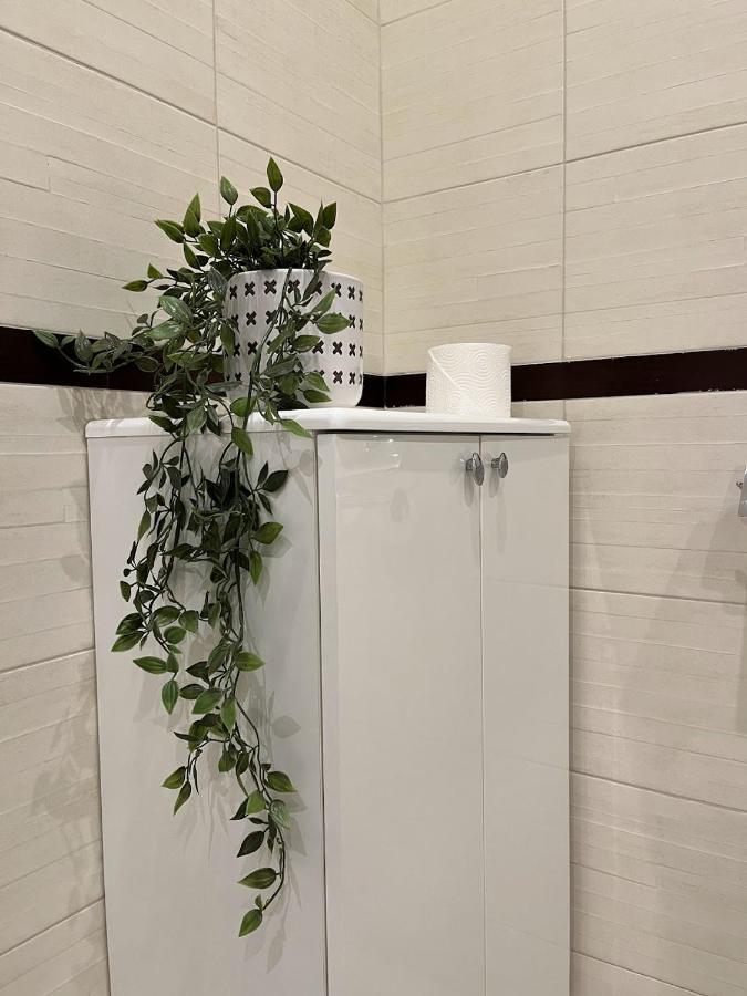 Ski & Relax Apartments In Bellevue Residence 班斯科 外观 照片